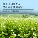 10/9(수)하얀 눈꽃 뿌려진 추정리 메밀밭 미동산수목원,수암골벽화마을,초정행궁 이미지