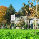 Cafe . 포천 운악산 { 포애뜰 POAETTEUL }