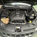 애니카랜드 서구점 이미지