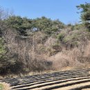 오빠골농장 이미지