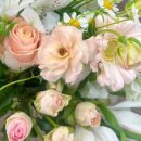 일상의집 이미지