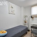 사당살이