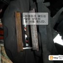 카맨삽 이미지