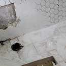 청주 욕실 및 화장실 수리 공사는 전문가와 상의하세요