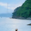 뻘 - 용산구 | 뻘