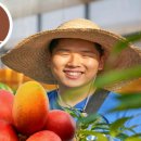 김성우농장 이미지
