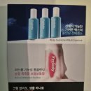 필로디 이미지