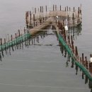 남해-133 이미지