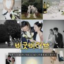 대전 웨딩스냅 비굿비러브 계약 후기 | 필름감성 웨딩스냅 취향저격📷