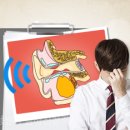 이엔티보청기 이미지