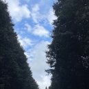 동화민속식당 이미지