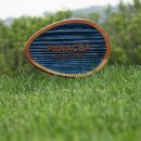 파나시아골프클럽 이미지