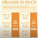 오렌지 모텔 | [내돈내산] 오렌지인덕 인덕원 루프탑 파티룸 후기｜브라이덜샤워 연말파티 솔직 리뷰