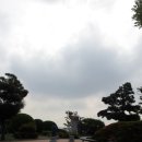 오동나무 발전소 이미지