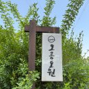 [경주/독채 펜션] 경주 여행, 조용한 힐링이 필요하다면 ‘오릉도원’ 한옥 스테이