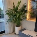 안녕판포 이미지