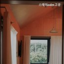 스테이odm고운 이미지