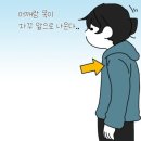리틀포레짐 이미지