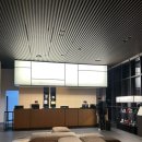 신라스테이 여수 | 여수숙소추천 신라스테이 여수 내돈내산 후기