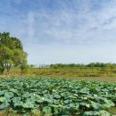 황령산관광지 이미지