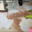 성실식품 이미지