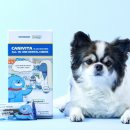 ㈜스마일 이미지