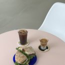 콜프로스터스 이미지
