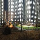 두마리토끼 이미지