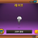 픽시즈 이미지
