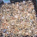 나눔까페 이미지