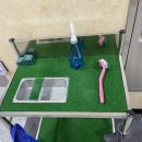 별빛스크린골프연습장 이미지