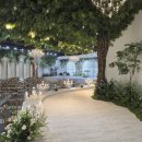 엘리스 호텔 이미지