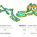 경주신라컨트리클럽골프연습장 네이버블로그