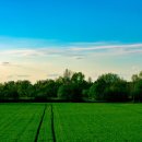 현대그린골프연습장 이미지