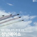 코스모스약국 | 성남 에어쇼 2025 시간 일정 주차 준비물 푸드트럭 체험 꿀팁 블랙이글스 팬 된 후기