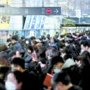 바글바글 이미지