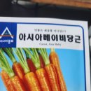 산삼마루