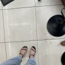 세븐일레븐 춘천교동본점 이미지