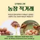 북원로 | 저녁 걱정 끝나게 해준 원주유정란배송과 구운계란 무료배송 후기