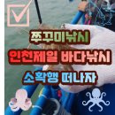 인천 쭈꾸미 낚시배 금어기 풀린 취그미니!!!