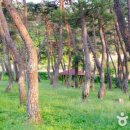 솔밭 민물매운탕 이미지