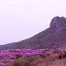 ☞5.17일 황매산 예약마감☜ 철쭉명산으로 인기명산 100 21위 소백산, 바래봉에 이어 철쭉 3대 명산이라 할 만큼 철쭉이 군락을 이루고 화강암 기암괴석 이미지