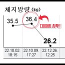 루다핏
