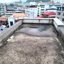 칠칠공사 이미지