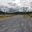 영천골재중기 이미지