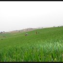 하전농장 이미지