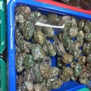 당진어시장 이미지