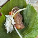 하늘땅펜션 | 제주 애월 감성 숙소 하늘만큼 땅만큼 펜션 개별 파티룸 바베큐 상세 후기