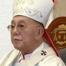 하이메드 이미지