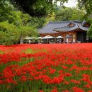 고창이네 이미지